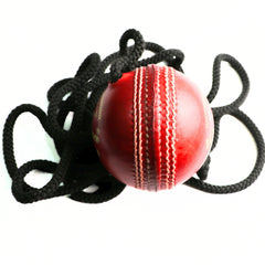Khelspace Knock Leather Cricket Practice Hanging Ball with Rope – Knocking & Shot Training