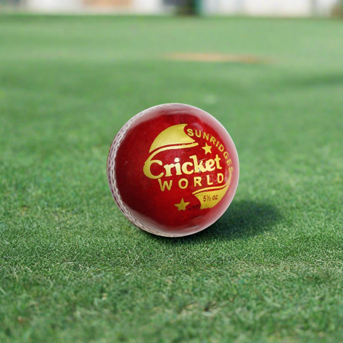 CR. WORLD 4 Pcs cricket ball (Pack of 1)