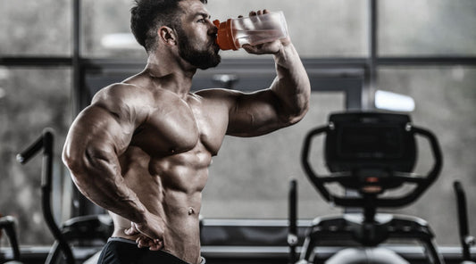 Maximizing Bodybuilding Analysis with TAPIR: Unleashing the Potential of Object Tracking