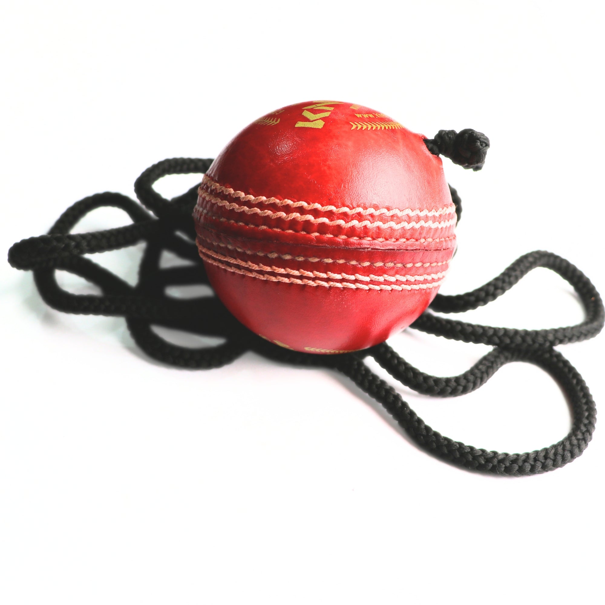 Khelspace Knock Leather Cricket Practice Hanging Ball with Rope – Knocking & Shot Training
