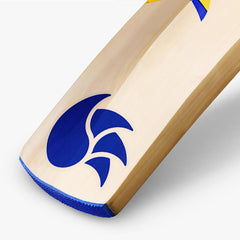 DSC Bravado 55 Kashmir Willow Cricket Bat