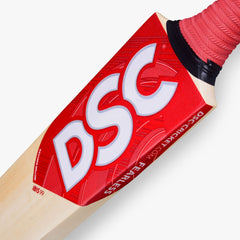 DSC IBIS 99 Kashmir Willow Cricket Bat