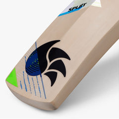 DSC Cricket Spliit 33 Kashmir Willow Bat